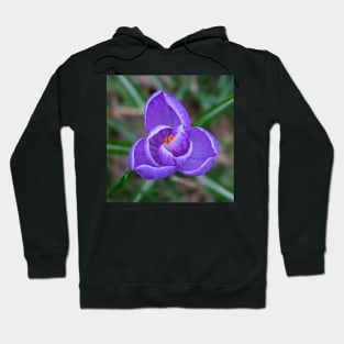 Purple Flower Opening Hoodie